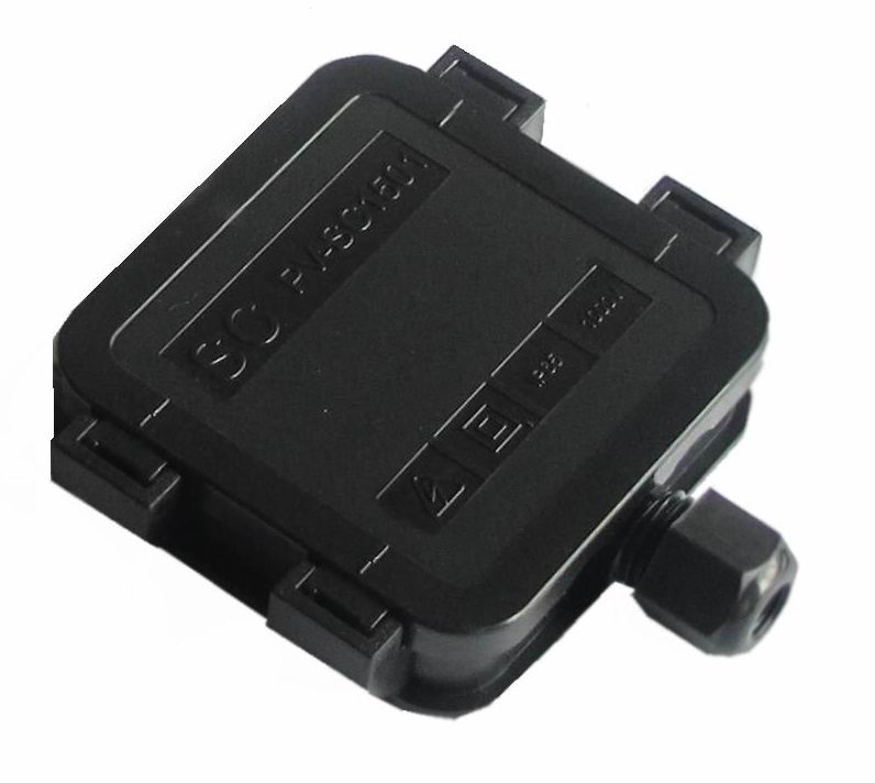 Plants: image 1 0f 4 thumb