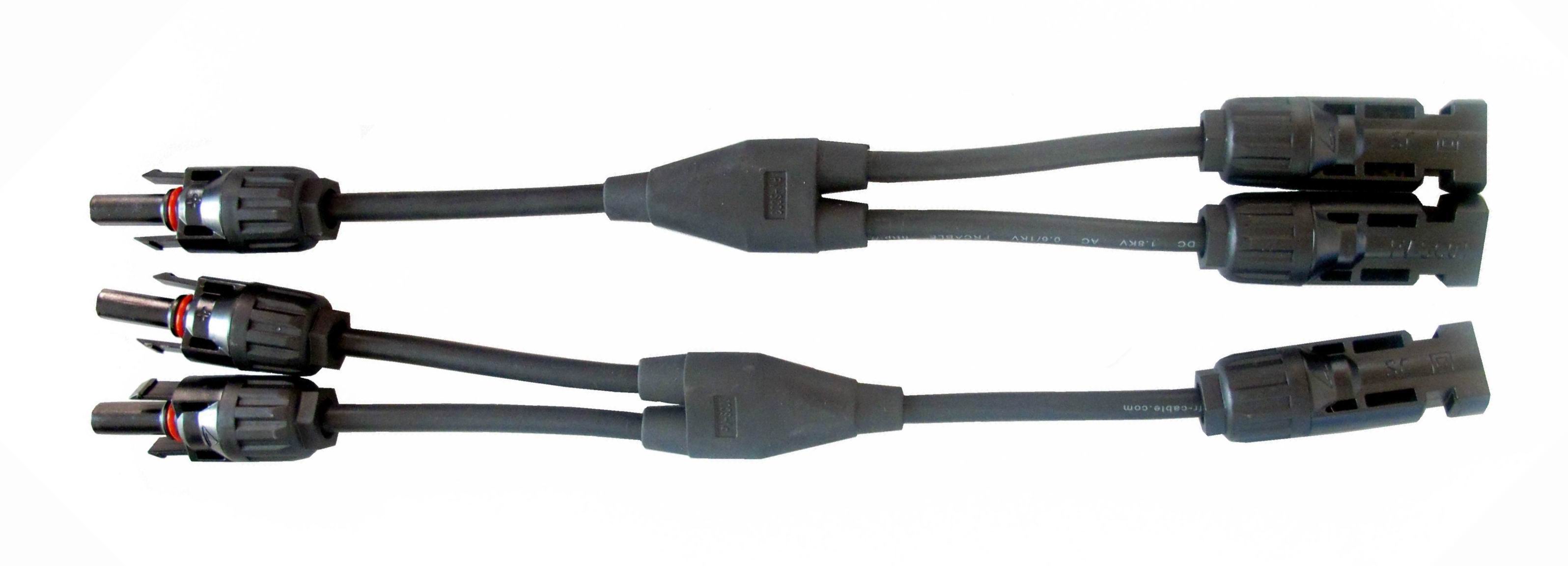 Plants: image 1 0f 4 thumb