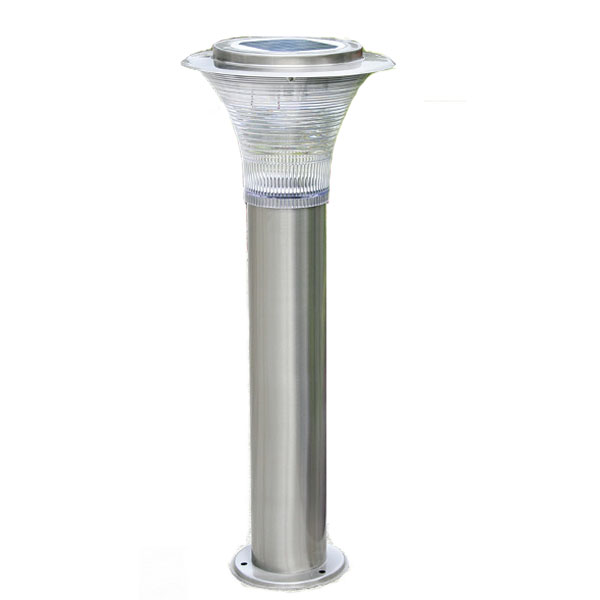 Plants: image 1 0f 4 thumb